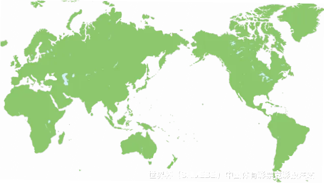 核心团队与专业资质
