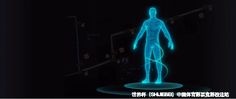 历史命中率展示